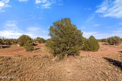 3916 S Madera Drive, Williams, AZ 86046 - Photo 25