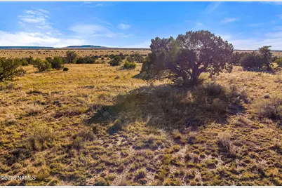 3916 S Madera Drive, Williams, AZ 86046 - Photo 27