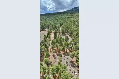 12847 E Dream Acres Lane, Williams, AZ 86046 - Photo 3