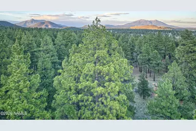 12847 E Dream Acres Lane, Williams, AZ 86046 - Photo 9