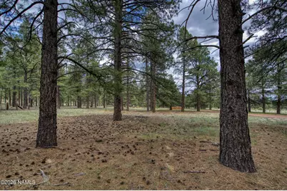 12847 E Dream Acres Lane, Williams, AZ 86046 - Photo 31