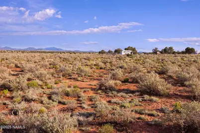 2877 Paradise Drive, Williams, AZ 86046 - Photo 13