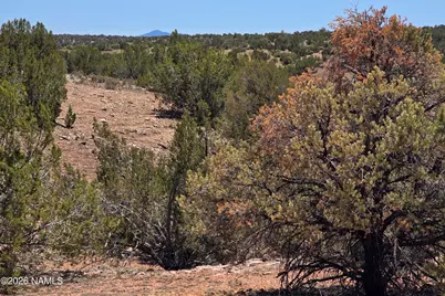 9966 Northstar Road, Williams, AZ 86046 - Photo 3