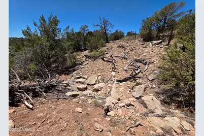 9966 Northstar Road, Williams, AZ 86046 - Photo 5