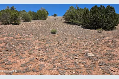 9966 Northstar Road, Williams, AZ 86046 - Photo 21