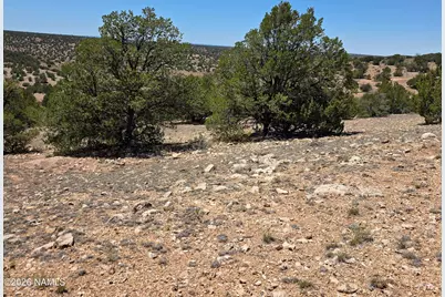 9966 Northstar Road, Williams, AZ 86046 - Photo 23