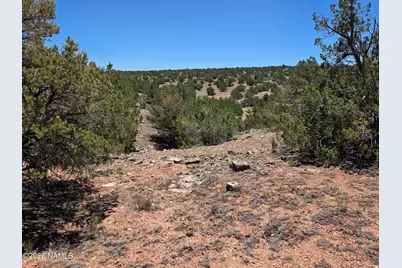 9966 Northstar Road, Williams, AZ 86046 - Photo 9