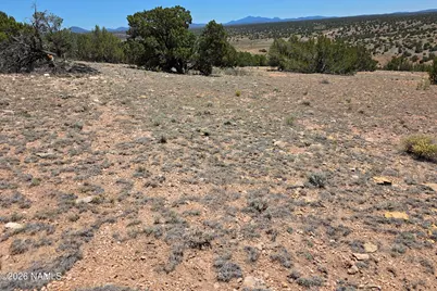9966 Northstar Road, Williams, AZ 86046 - Photo 25