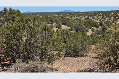 9966 Northstar Road, Williams, AZ 86046 - Photo 15