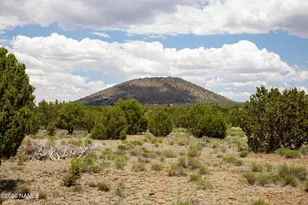 5124 N Wilshire Dr, Williams, AZ 86046 - Photo 1