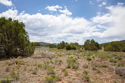 5124 N Wilshire Drive, Williams, AZ 86046 - Photo 7