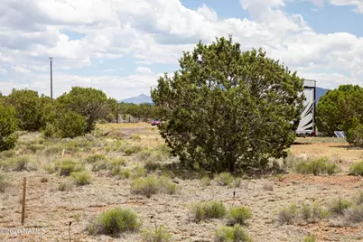 5124 N Wilshire Drive, Williams, AZ 86046 - Photo 9