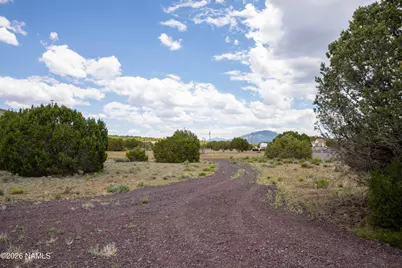 5124 N Wilshire Drive, Williams, AZ 86046 - Photo 5