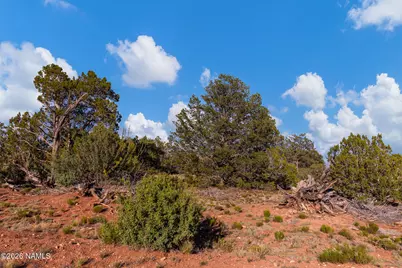 9570 Water Tank Circle, Williams, AZ 86046 - Photo 17