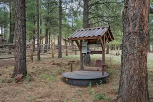 13050 E Fallow Deer Rd, Parks, AZ 86018 - Photo 29