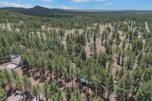 13050 E Fallow Deer Rd, Parks, AZ 86018 - Photo 39