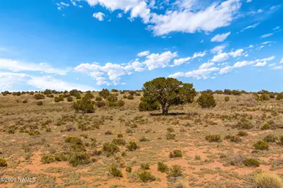 2978 S Lowell Drive, Williams, AZ 86046 - Photo 23