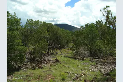 000 W Calle Adan, Seligman, AZ 86337 - Photo 13
