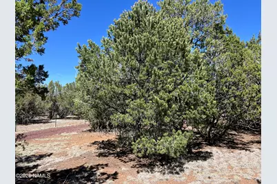 7185 N Audrey Way, Williams, AZ 86046 - Photo 33