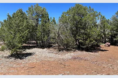 7185 N Audrey Way, Williams, AZ 86046 - Photo 35