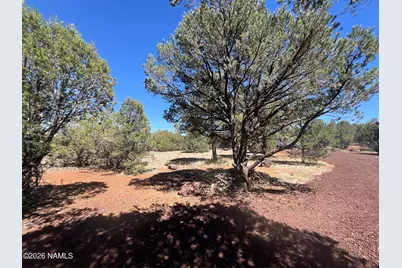 7185 N Audrey Way, Williams, AZ 86046 - Photo 7