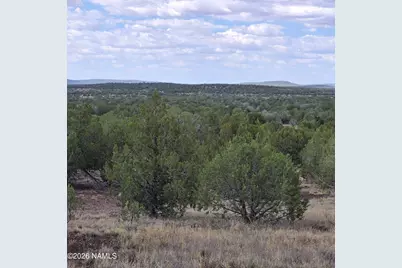 4180 N Muriel Drive, Williams, AZ 86046 - Photo 3