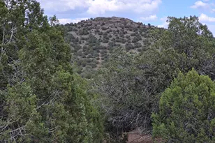 4180 N Muriel Dr, Williams, AZ 86046 - Photo 1