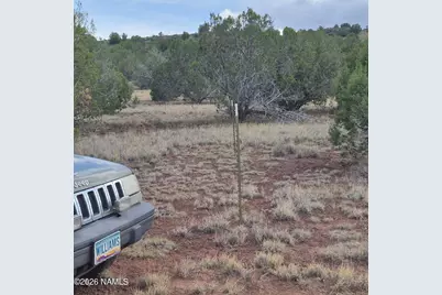 4180 N Muriel Drive, Williams, AZ 86046 - Photo 9