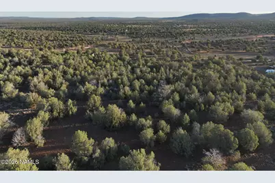 1258 W Terry Lane, Williams, AZ 86046 - Photo 5