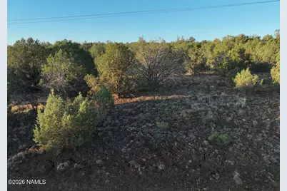 1258 W Terry Lane, Williams, AZ 86046 - Photo 13