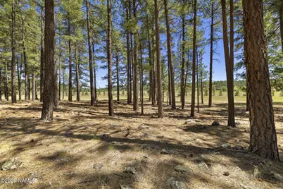 9 E Foxboro Road #14, Munds Park, AZ 86017 - Photo 17