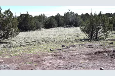 3744 N Verde Road, Williams, AZ 86046 - Photo 13