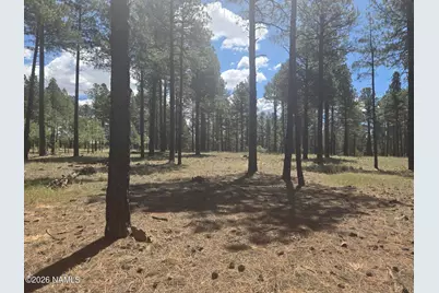2335 S Ash Lane, Flagstaff, AZ 86004 - Photo 3