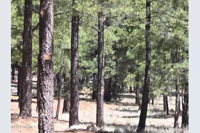 2335 S Ash Lane, Flagstaff, AZ 86004 - Photo 5