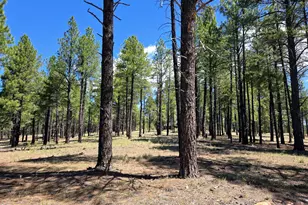 4611 E Monroe St, Flagstaff, AZ 86004 - Photo 1