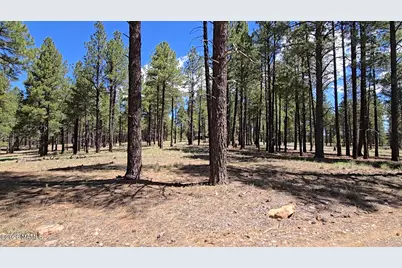 4611 E Monroe Street, Flagstaff, AZ 86004 - Photo 3
