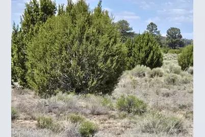 7434 N Elk Run Trail, Williams, AZ 86046 - Photo 3