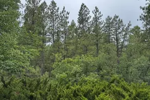 17270 Grizzly Rdg, Munds Park, AZ 86017 - Photo 3