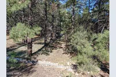 4405 E Dreamy Lane, Flagstaff, AZ 86004 - Photo 3
