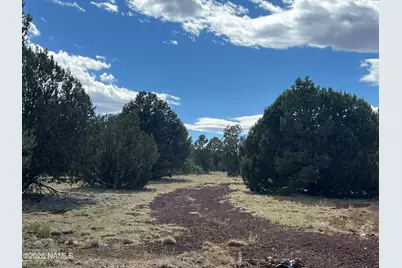 7432 Daisy Drive, Williams, AZ 86046 - Photo 5