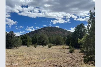 7432 Daisy Drive, Williams, AZ 86046 - Photo 1