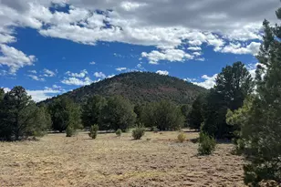 7432 Daisy Drive, Williams, AZ 86046 - Photo 1
