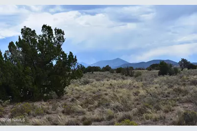 1360 E Mission Drive, Williams, AZ 86046 - Photo 3
