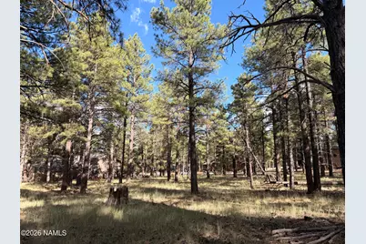 3222 W Grey Hawk #257, Williams, AZ 86046 - Photo 3