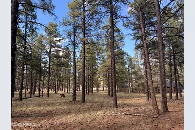 3222 W Grey Hawk #257, Williams, AZ 86046 - Photo 1