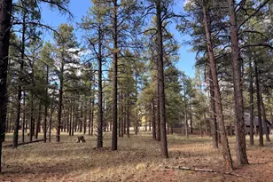 3222 W Grey Hawk, Williams, AZ 86046 - Photo 1