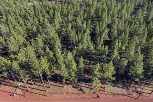 7340 E Long Bow Dr, Williams, AZ 86046 - Photo 41