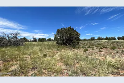 5614 N Alta Villa Road, Williams, AZ 86046 - Photo 5