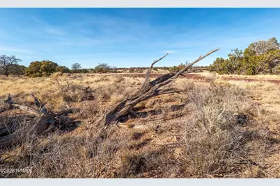 5634 N Alta Villa Road, Williams, AZ 86046 - Photo 5