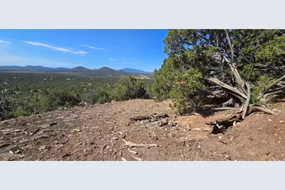 1262 Painted Pony Lane, Williams, AZ 86046 - Photo 11